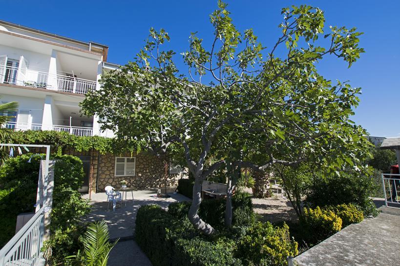 Apartment Duda Starigrad Paklenica